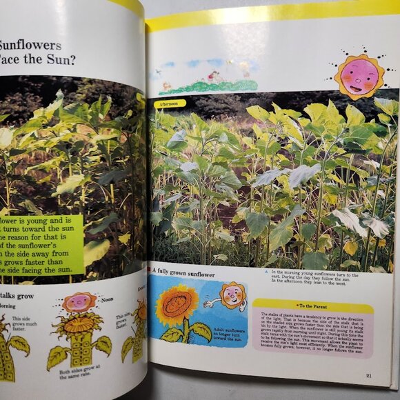 Flowers & Trees Child's First Library of Learning Hardcover Book Science Stem Ho - Picture 12 of 16